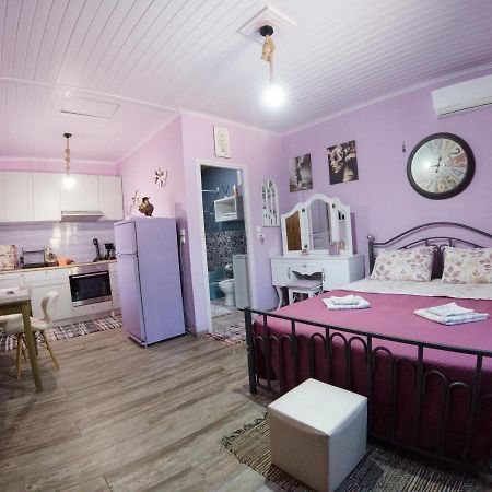 Valena'S House Apartment Ioannina Bagian luar foto