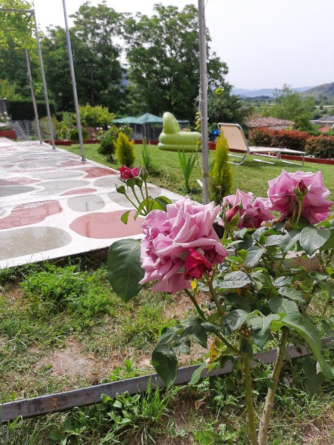 Valena'S House Apartment Ioannina Bagian luar foto