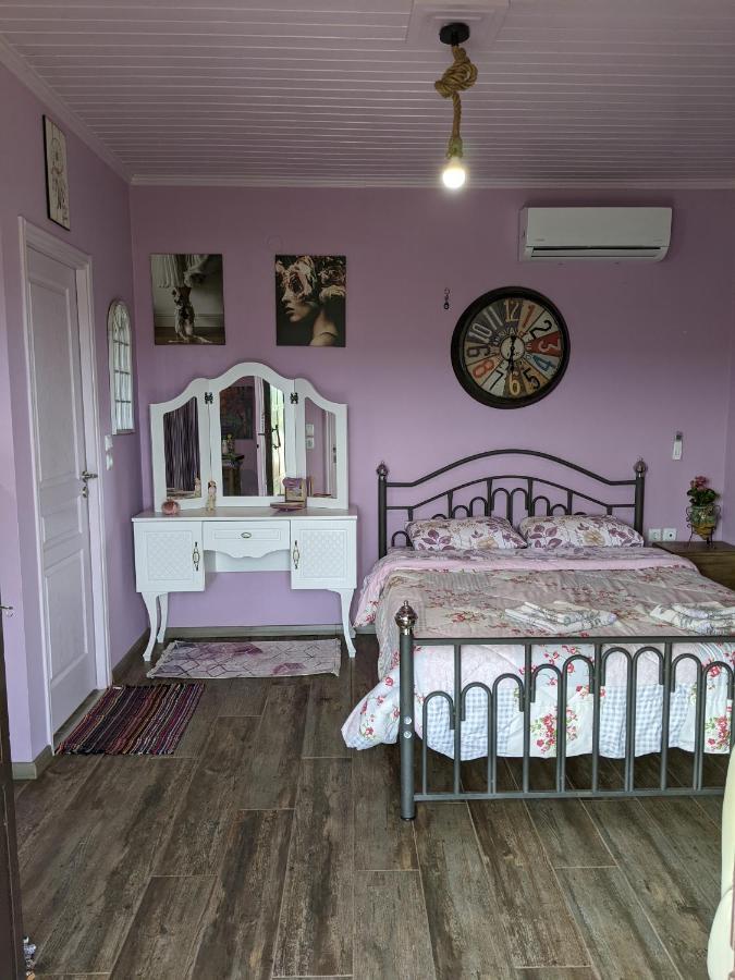 Valena'S House Apartment Ioannina Bagian luar foto