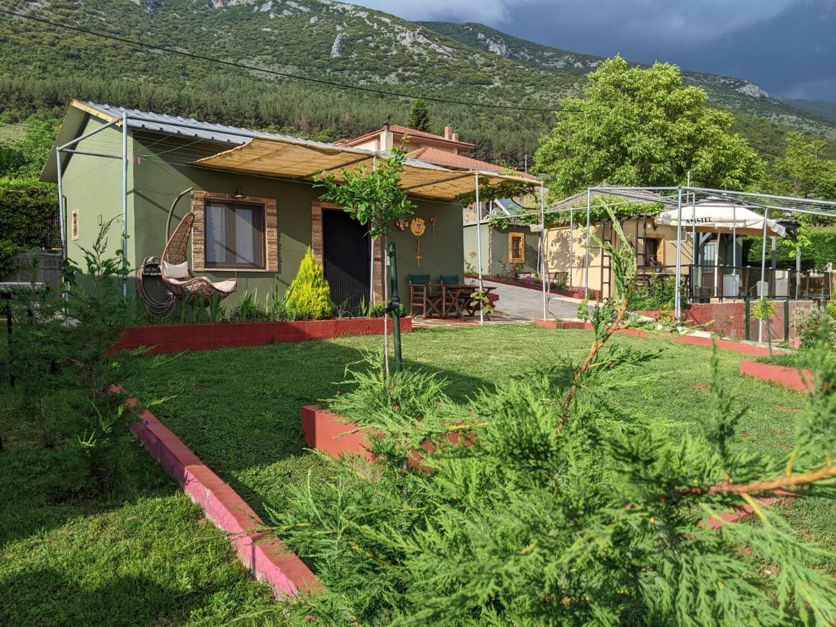 Valena'S House Apartment Ioannina Bagian luar foto