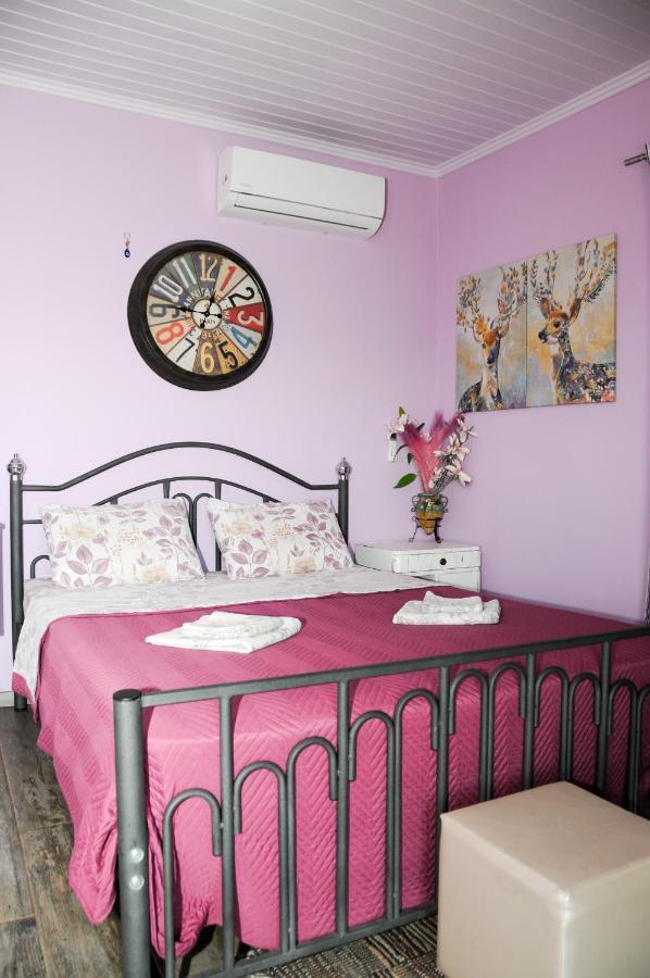 Valena'S House Apartment Ioannina Bagian luar foto
