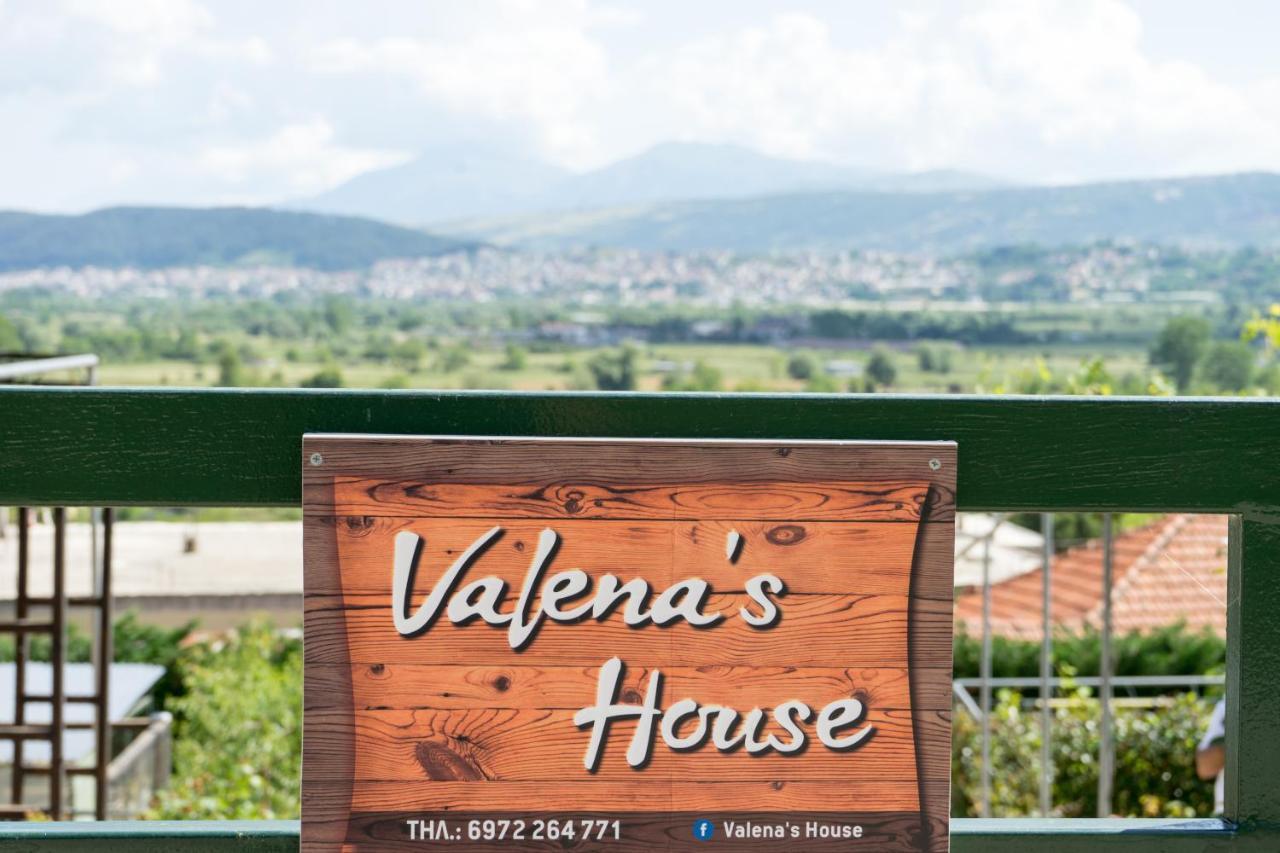 Valena'S House Apartment Ioannina Bagian luar foto