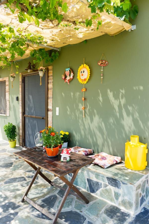Valena'S House Apartment Ioannina Bagian luar foto