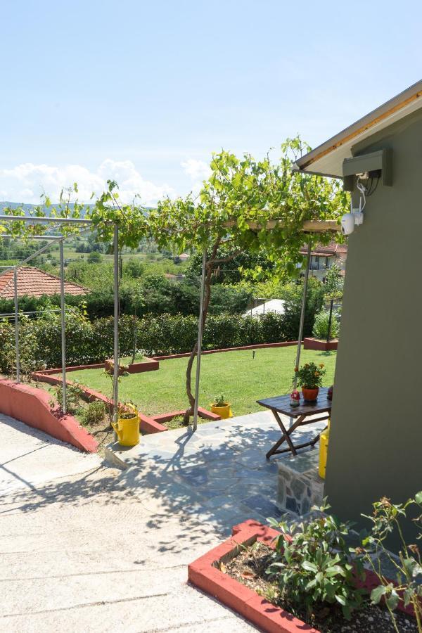 Valena'S House Apartment Ioannina Bagian luar foto