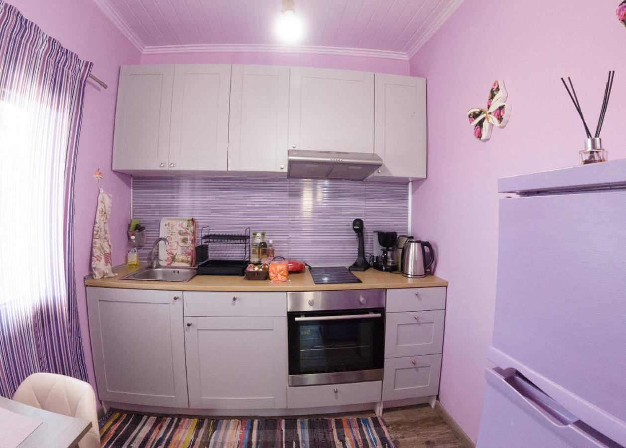 Valena'S House Apartment Ioannina Bagian luar foto