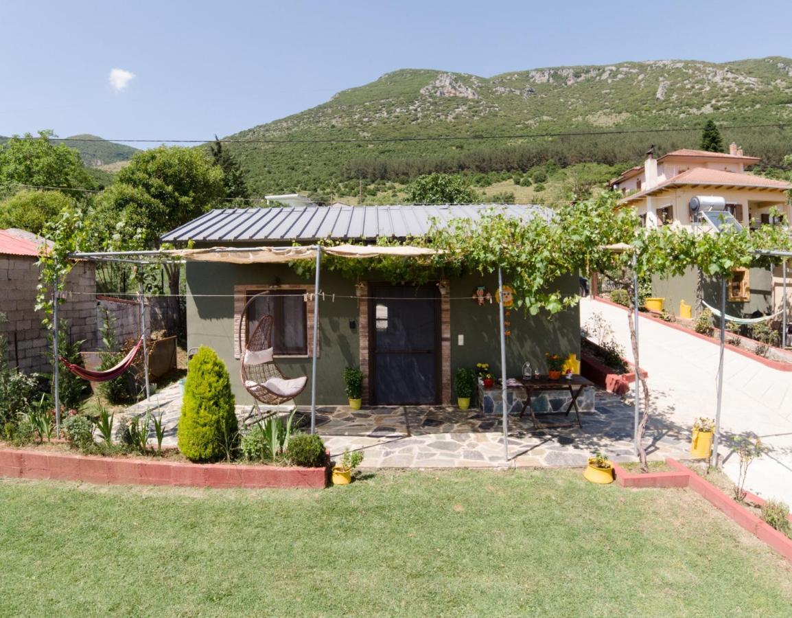 Valena'S House Apartment Ioannina Bagian luar foto