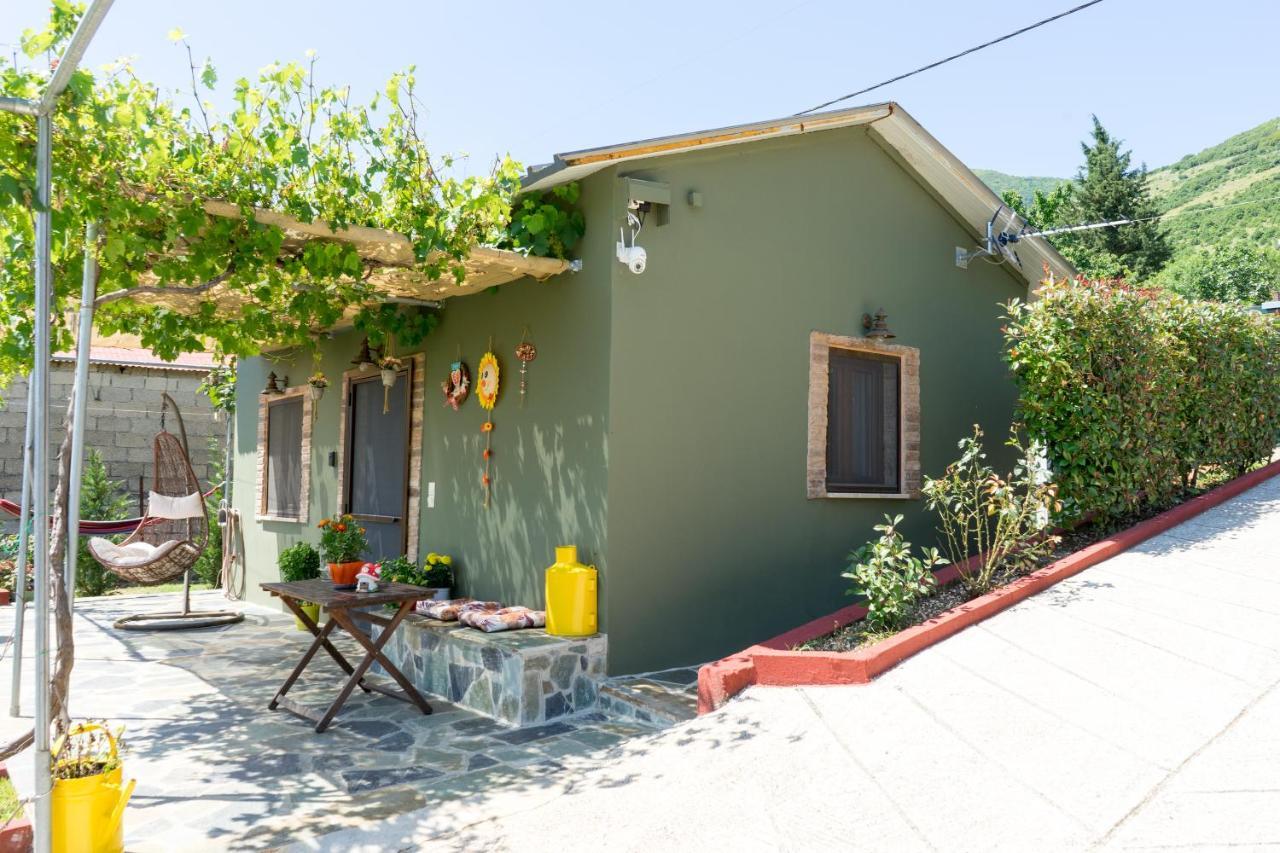 Valena'S House Apartment Ioannina Bagian luar foto