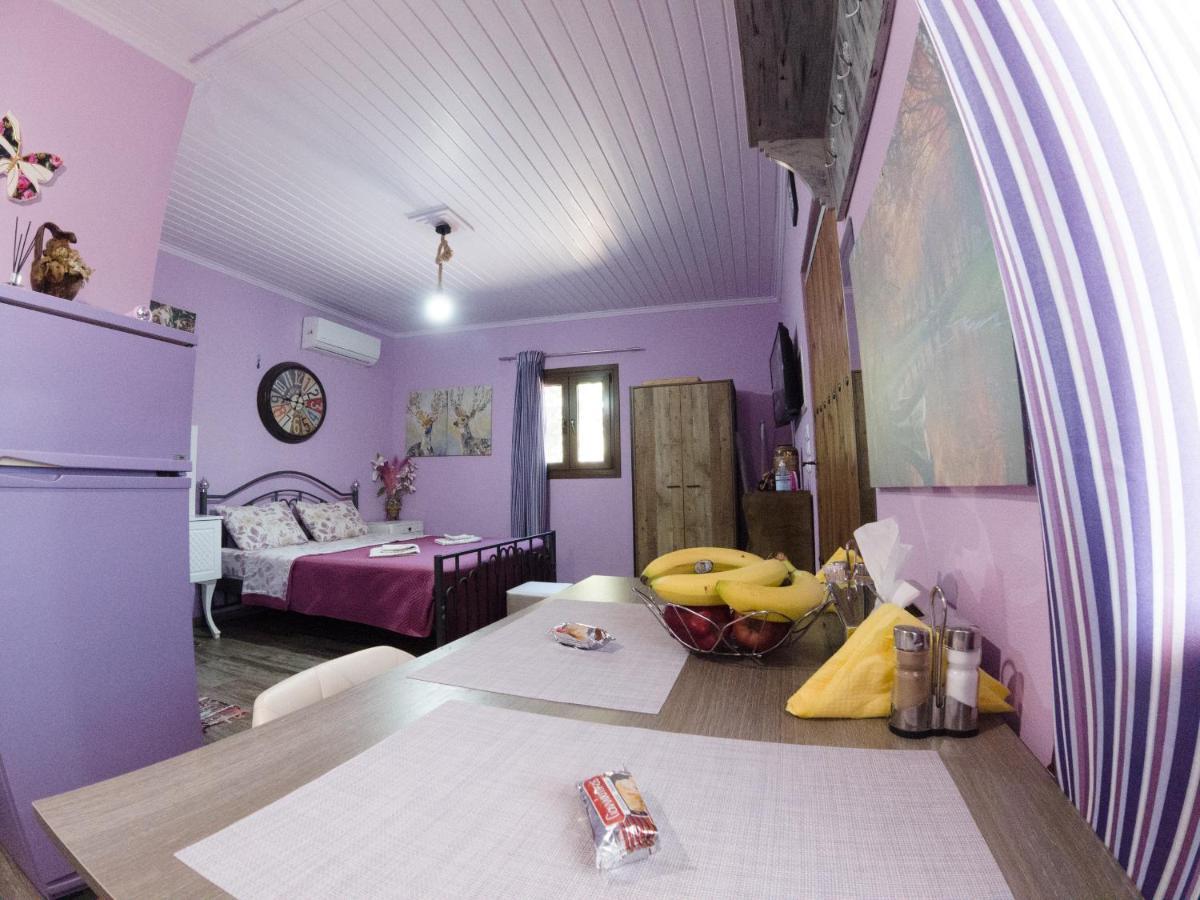 Valena'S House Apartment Ioannina Bagian luar foto